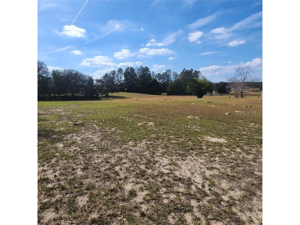 832 E Dunbar Lane Hernando FL 34442 W7880966 image3