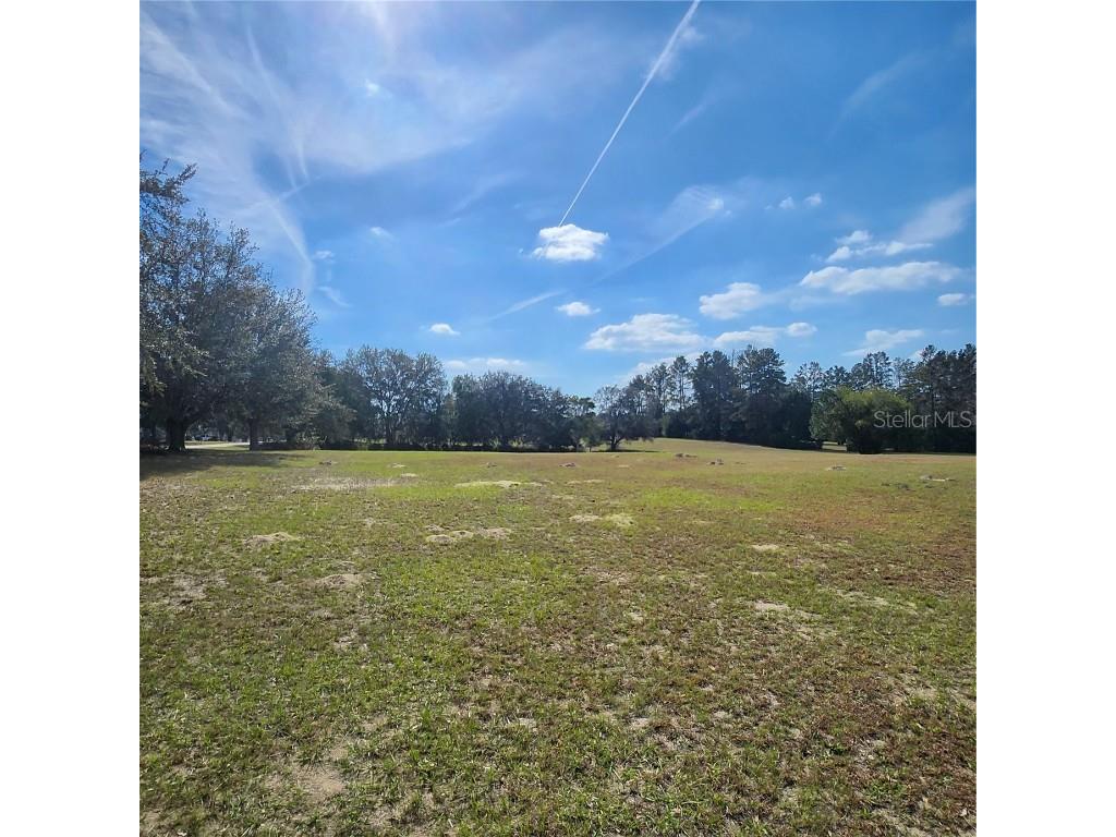 832 E Dunbar Lane Hernando FL 34442 W7880966 image4