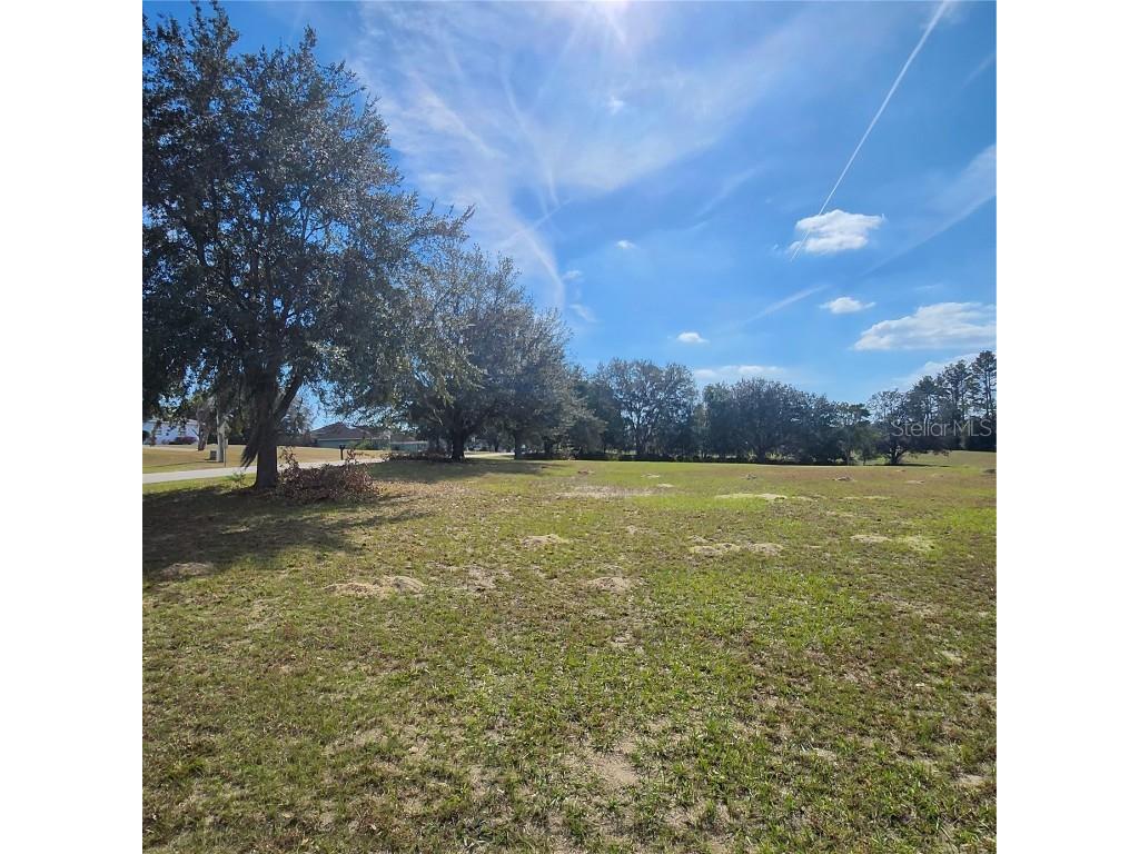 832 E Dunbar Lane Hernando FL 34442 W7880966 image5