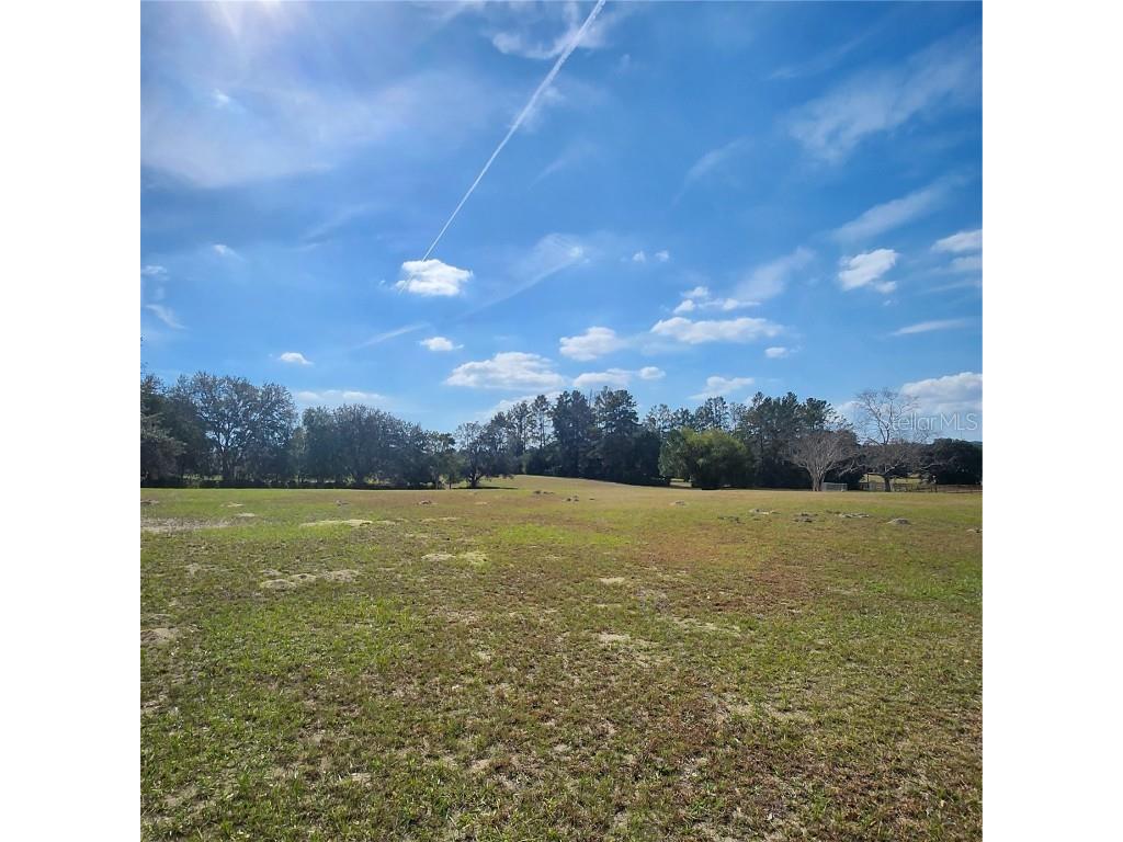 832 E Dunbar Lane Hernando FL 34442 W7880966 image6