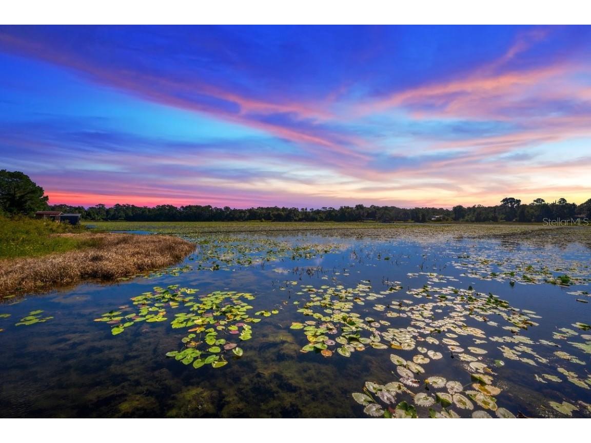 832 Lake Shore Terrace Interlachen FL 32148 - Clearwater Lake GC534819 image41