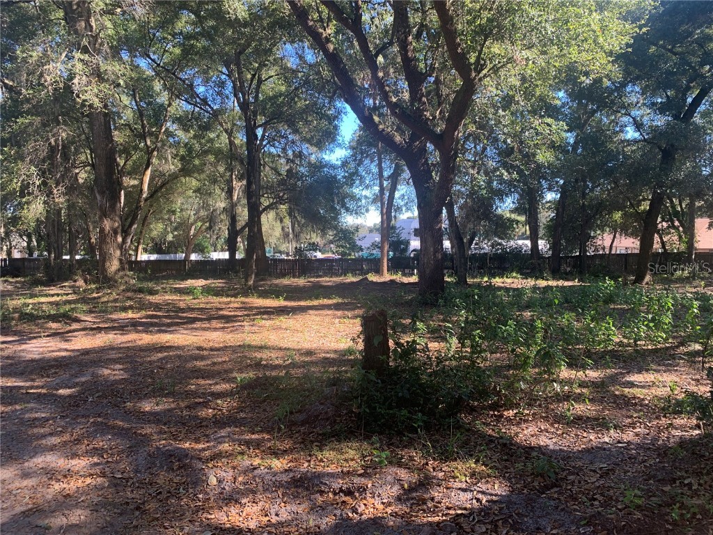 832 S Parsons Avenue Brandon FL 33511 TB8370553 image11