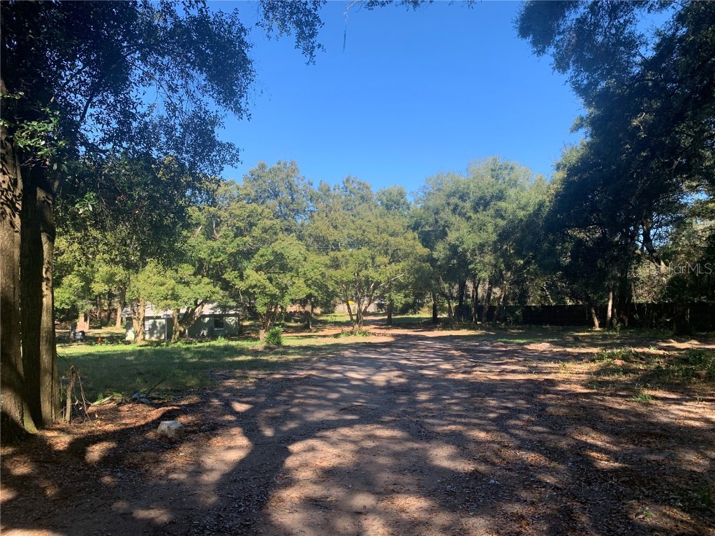 832 S Parsons Avenue Brandon FL 33511 TB8370553 image12