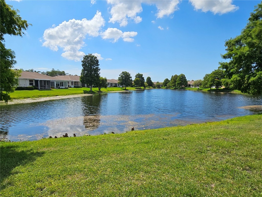 832 Tremont Greens Lane #136 Sun City Center FL 33573 T3532449 image1
