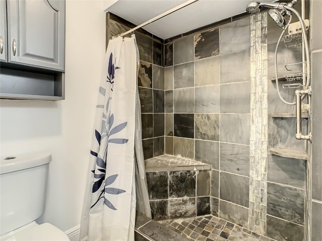 832 Whalebone Bay Drive Kissimmee FL 34741 S5124500 image23