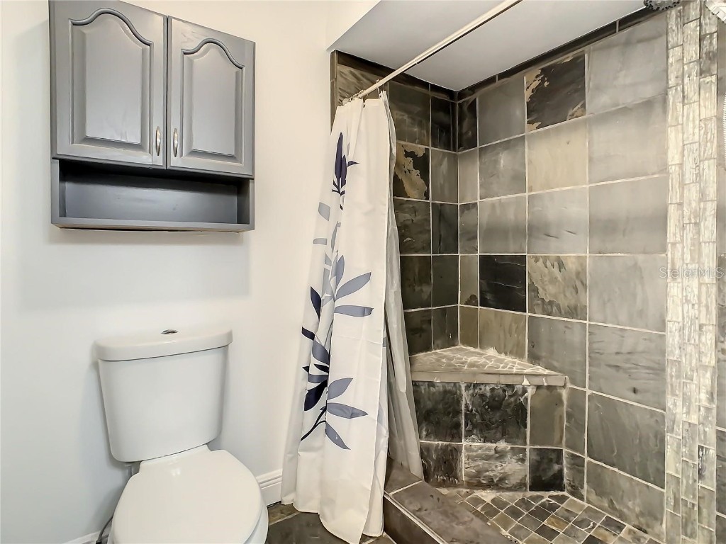 832 Whalebone Bay Drive Kissimmee FL 34741 S5124500 image24