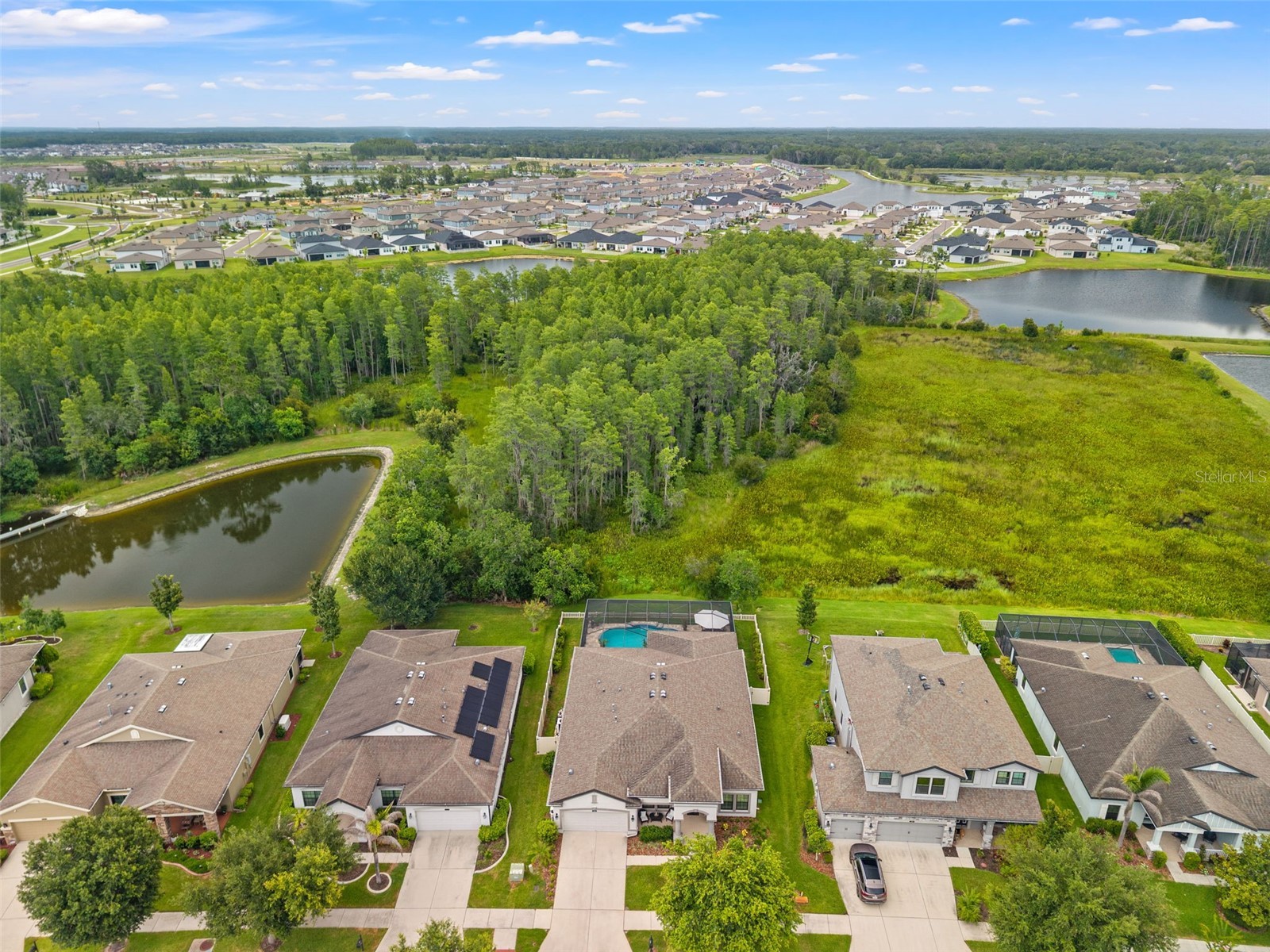8320 Bluevine Sky Drive Land O Lakes FL 34637 W7887103 image12