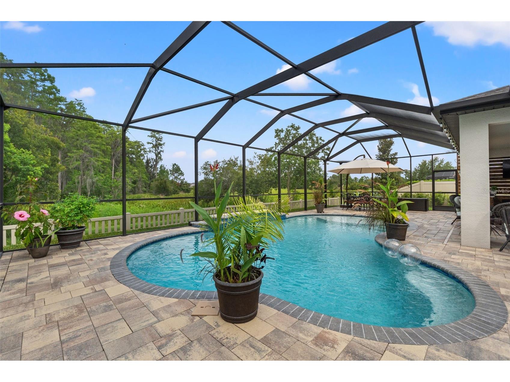 8320 Bluevine Sky Drive Land O Lakes FL 34637 W7887103 image32