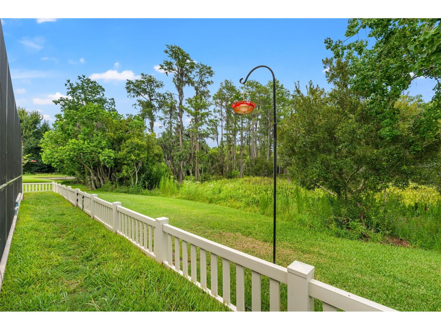 8320 Bluevine Sky Drive Land O Lakes FL 34637 W7887103 image34