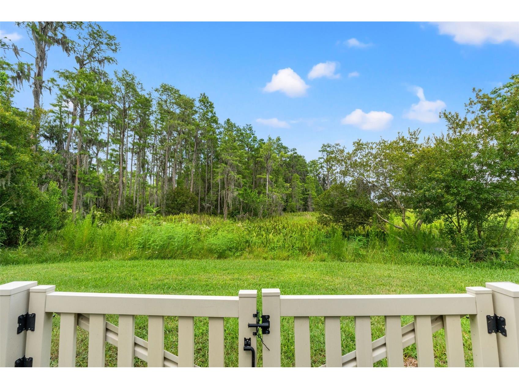 8320 Bluevine Sky Drive Land O Lakes FL 34637 W7887103 image35