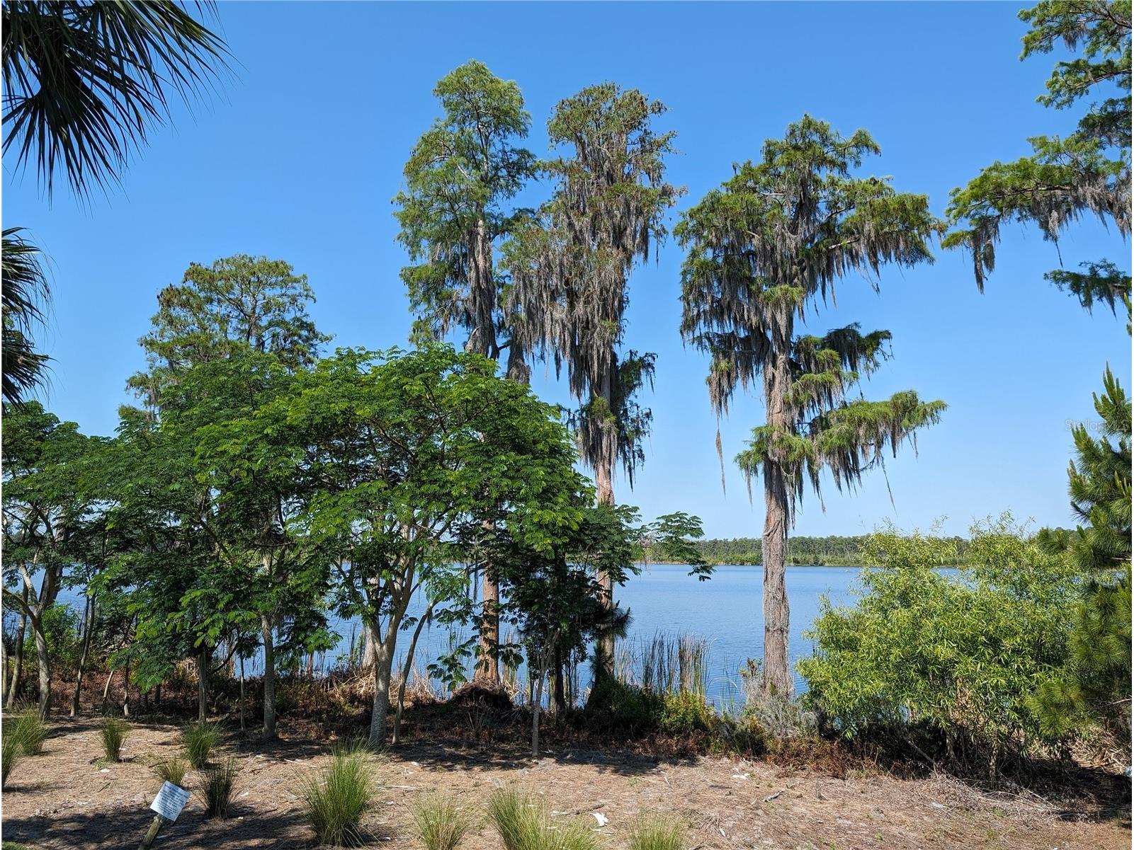8320 Bryce Canyon Avenue Windermere FL 34786 O6396080 image46