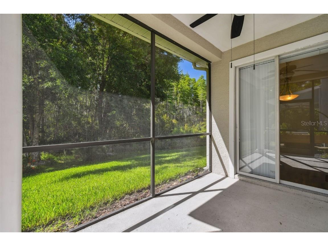 8320 Manor Club Circle #2 Tampa FL 33647 TB8404625 image39