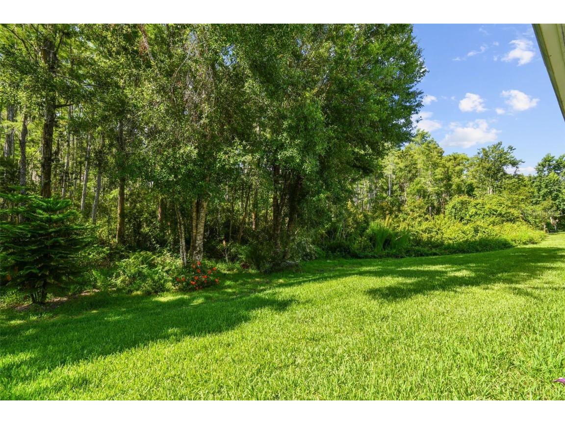 8320 Manor Club Circle #2 Tampa FL 33647 TB8404625 image41