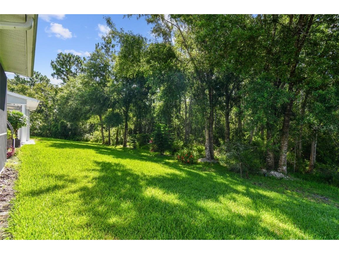 8320 Manor Club Circle #2 Tampa FL 33647 TB8404625 image42