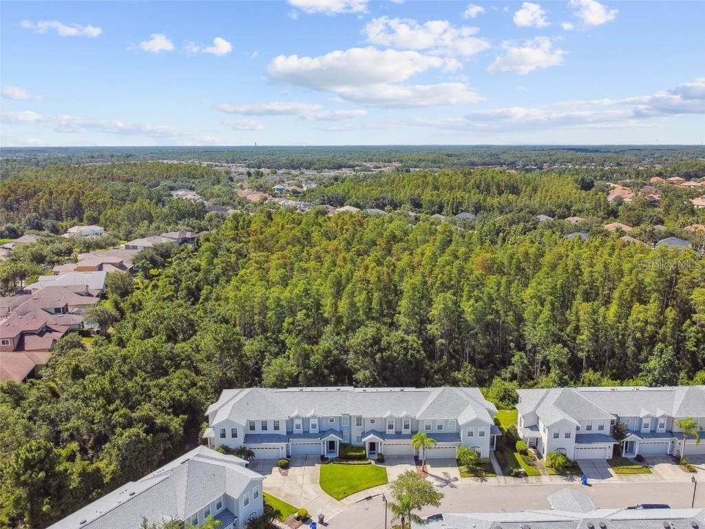 8320 Manor Club Circle #2 Tampa FL 33647 TB8404625 image44