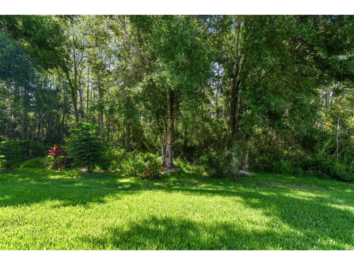 8320 Manor Club Circle #2 Tampa FL 33647 TB8404625 image8