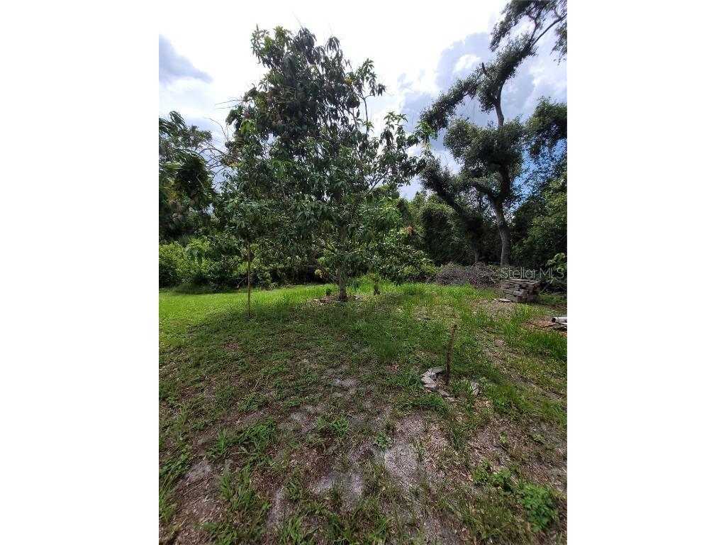 8320 Woodlake Place Tampa FL 33615 TB8429351 image37