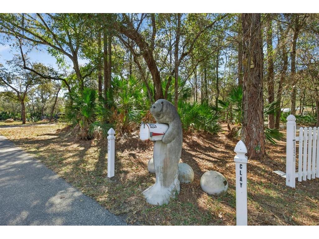 8321 Hardwood Landing Road Saint Augustine FL 32092 - TROUT CREEK TO ST JOHNS RIVER O6382806 image47