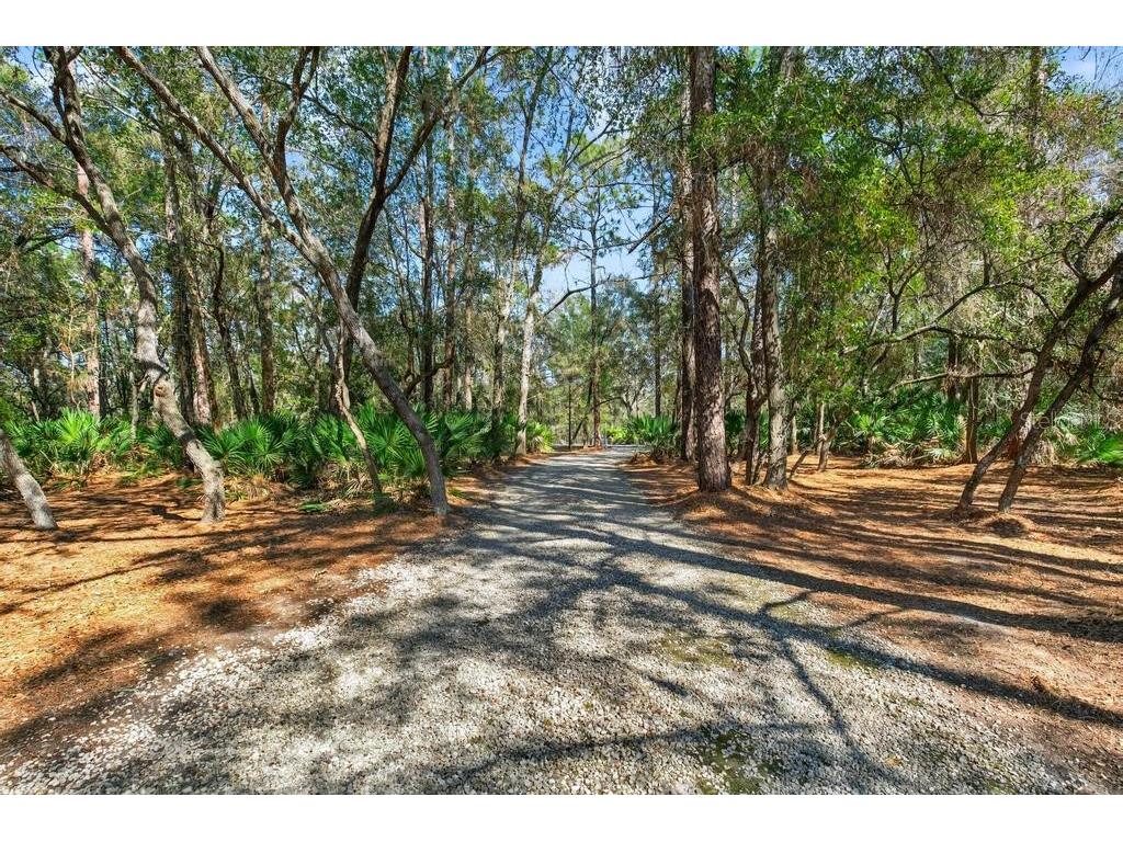8321 Hardwood Landing Road Saint Augustine FL 32092 - TROUT CREEK TO ST JOHNS RIVER O6382806 image51