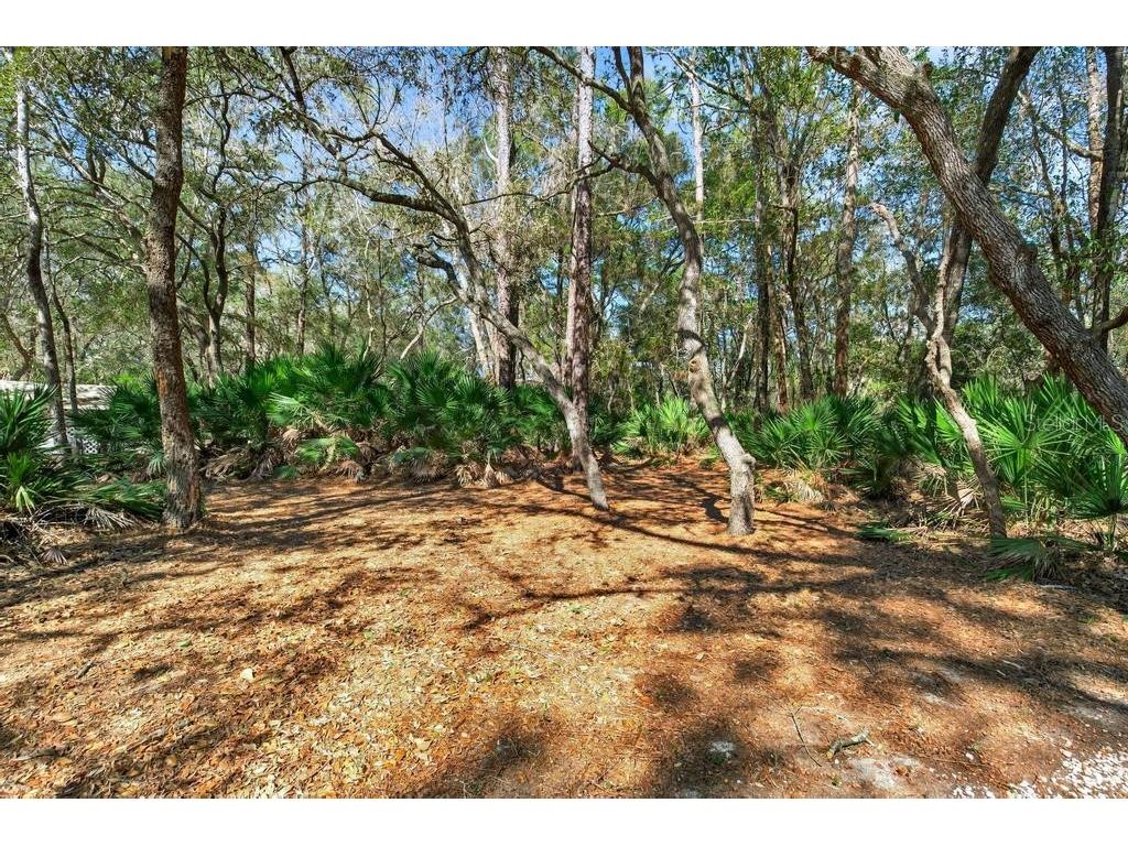 8321 Hardwood Landing Road Saint Augustine FL 32092 - TROUT CREEK TO ST JOHNS RIVER O6382806 image53