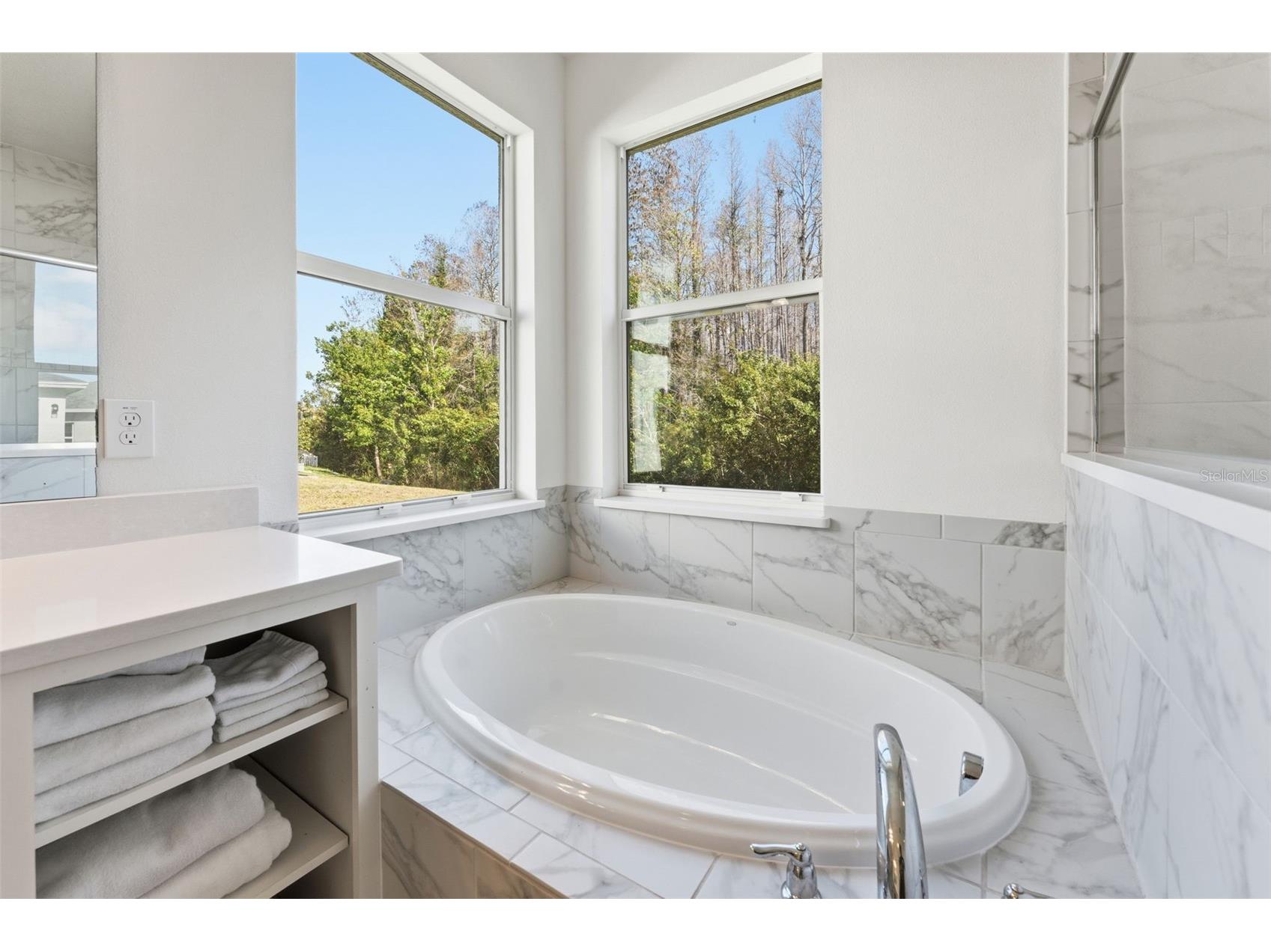 8322 Eagle Brook Drive Land O Lakes FL 34638 TB8483078 image20