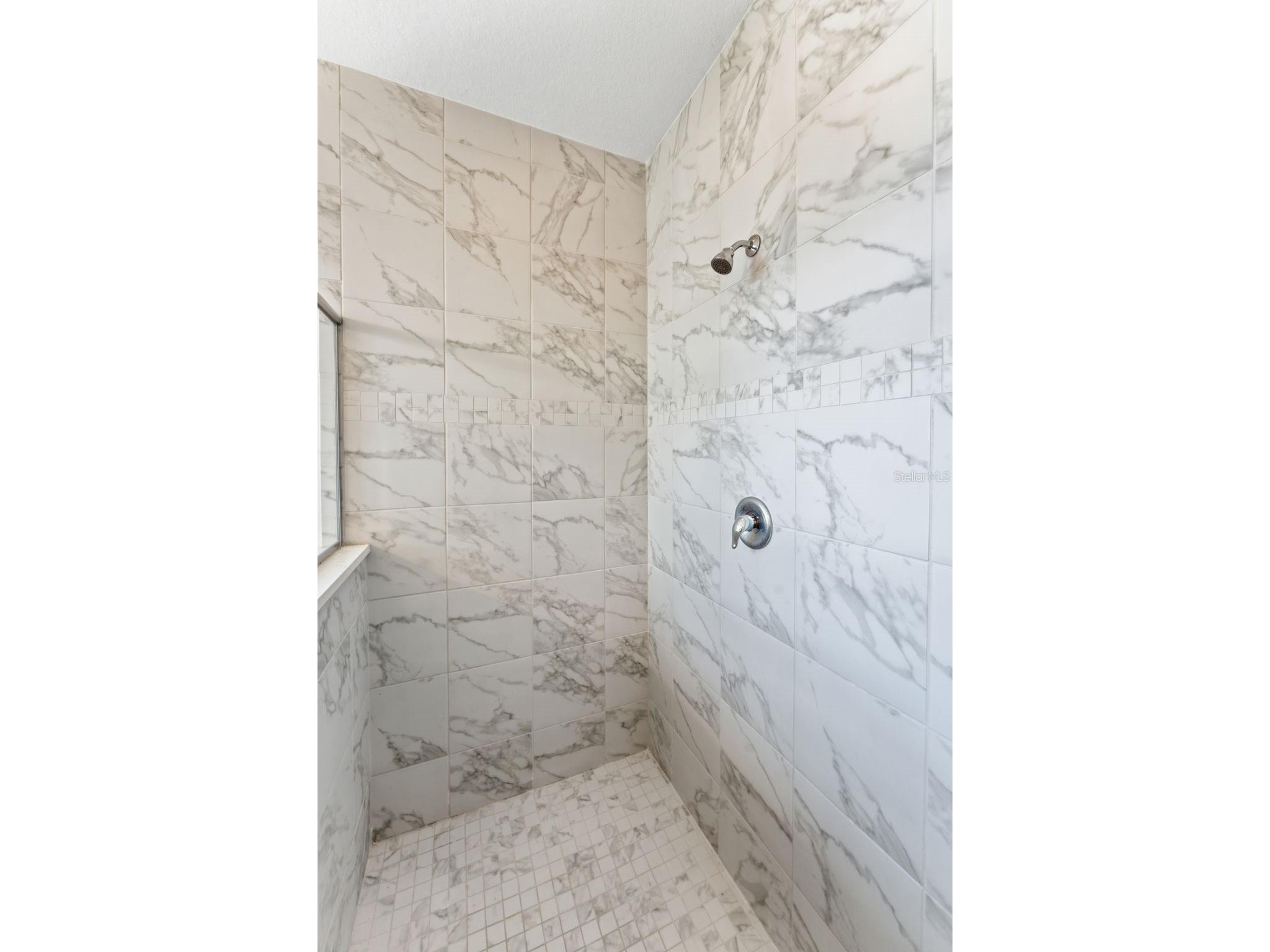 8322 Eagle Brook Drive Land O Lakes FL 34638 TB8483078 image21