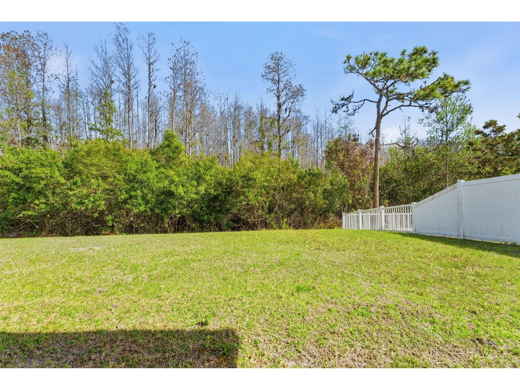 8322 Eagle Brook Drive Land O Lakes FL 34638 TB8483078 image43