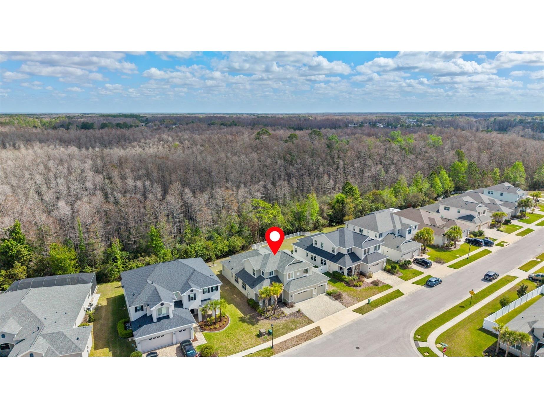 8322 Eagle Brook Drive Land O Lakes FL 34638 TB8483078 image49