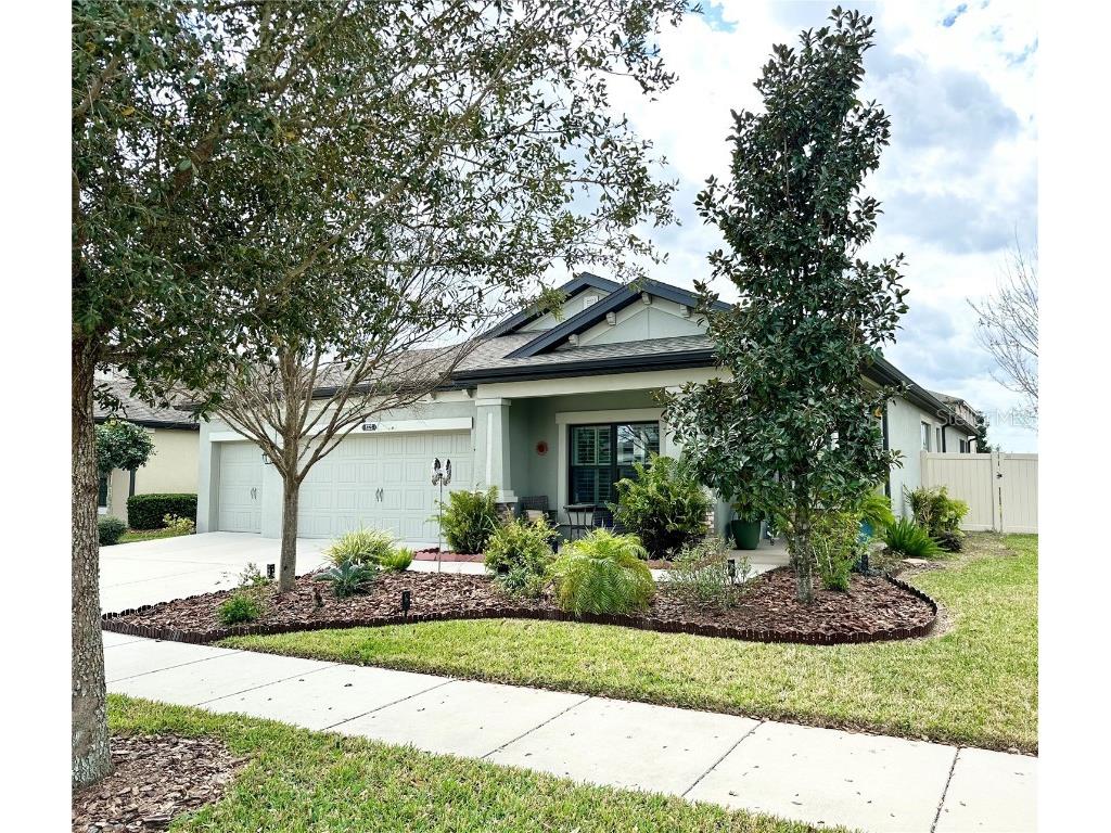 8323 Bluevine Sky Drive Land O Lakes FL 34637 O6089735 image1