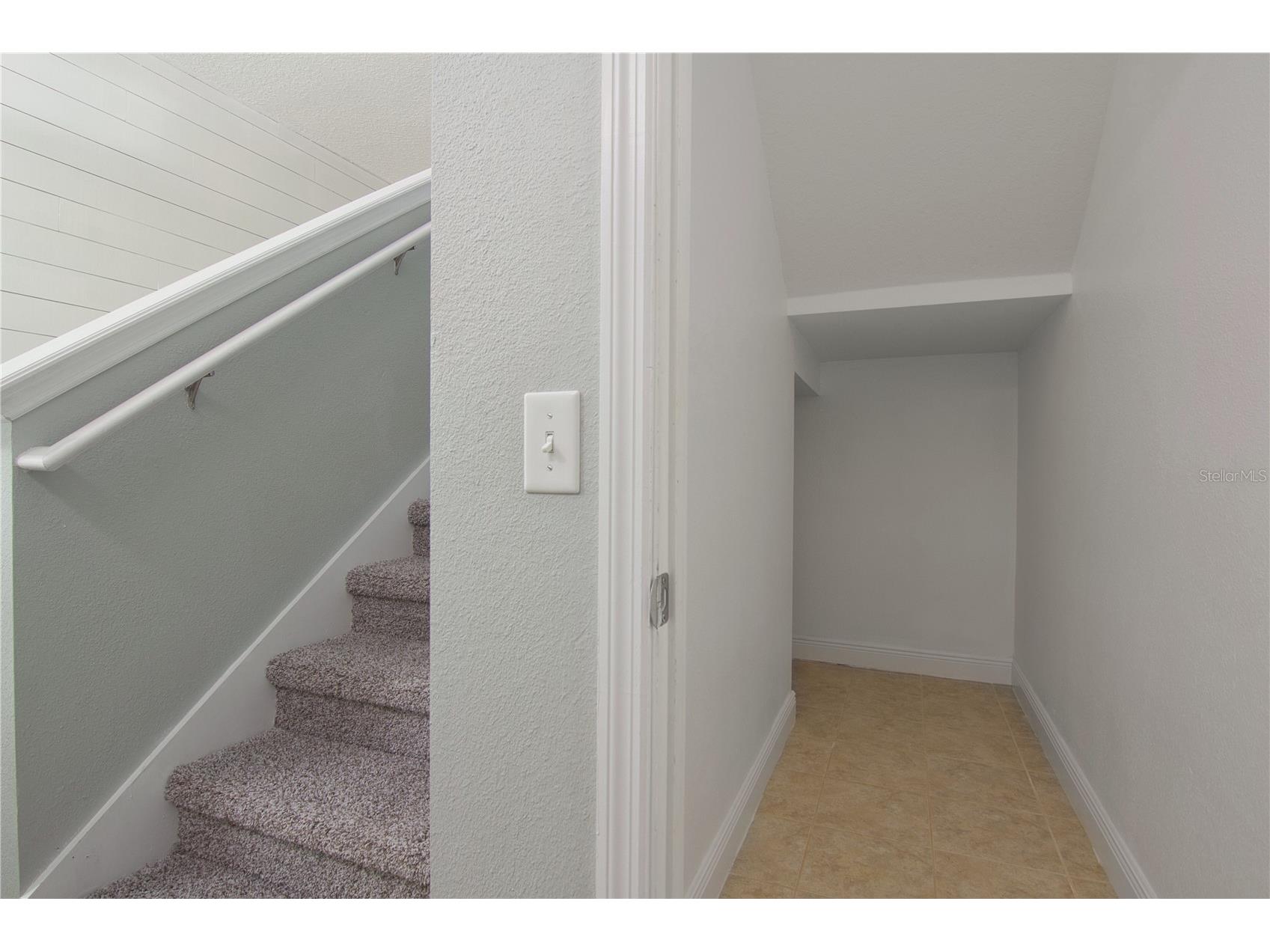 8323 Lookout Pointe Drive Windermere FL 34786 O6393407 image13