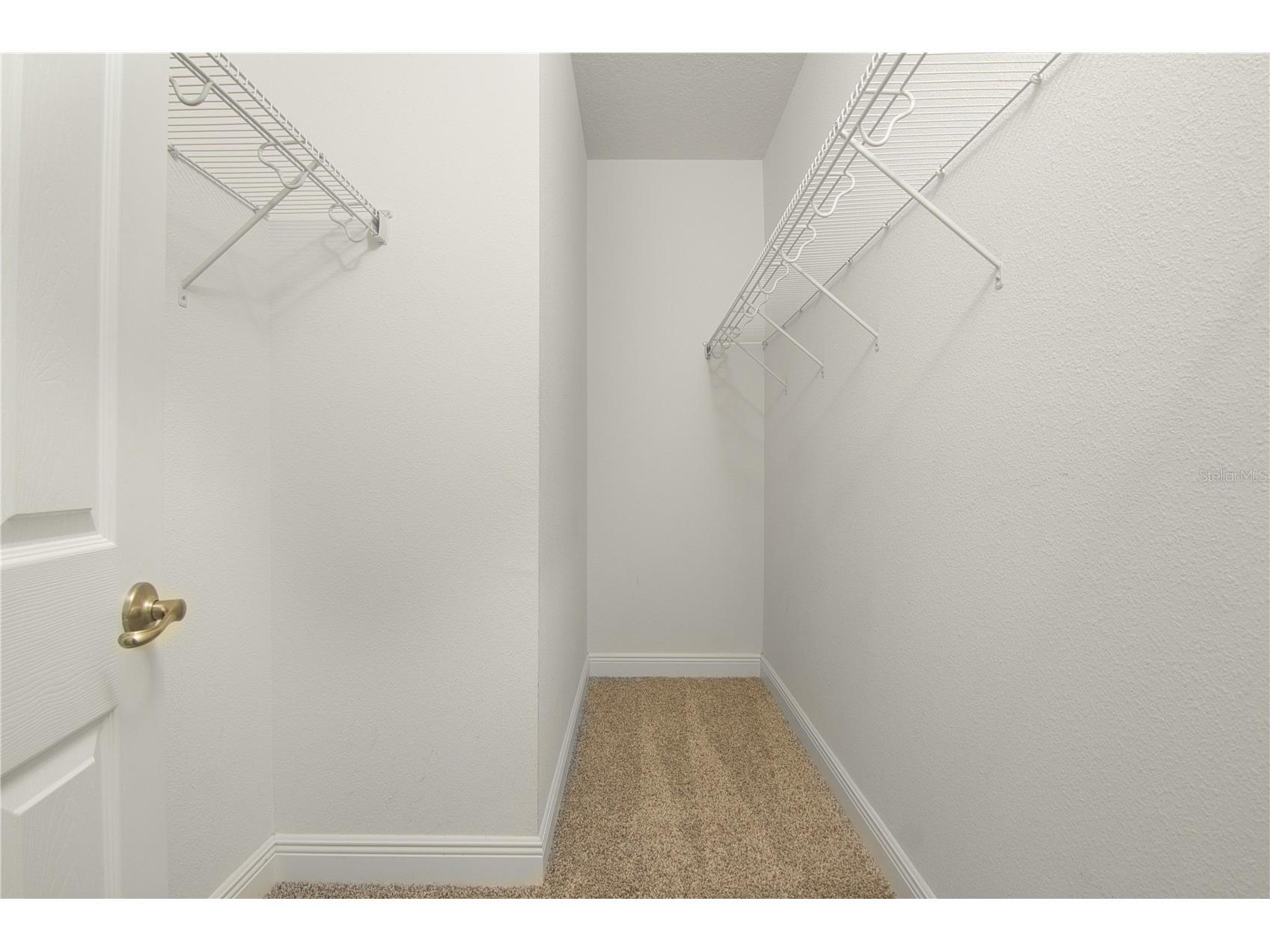 8323 Lookout Pointe Drive Windermere FL 34786 O6393407 image39