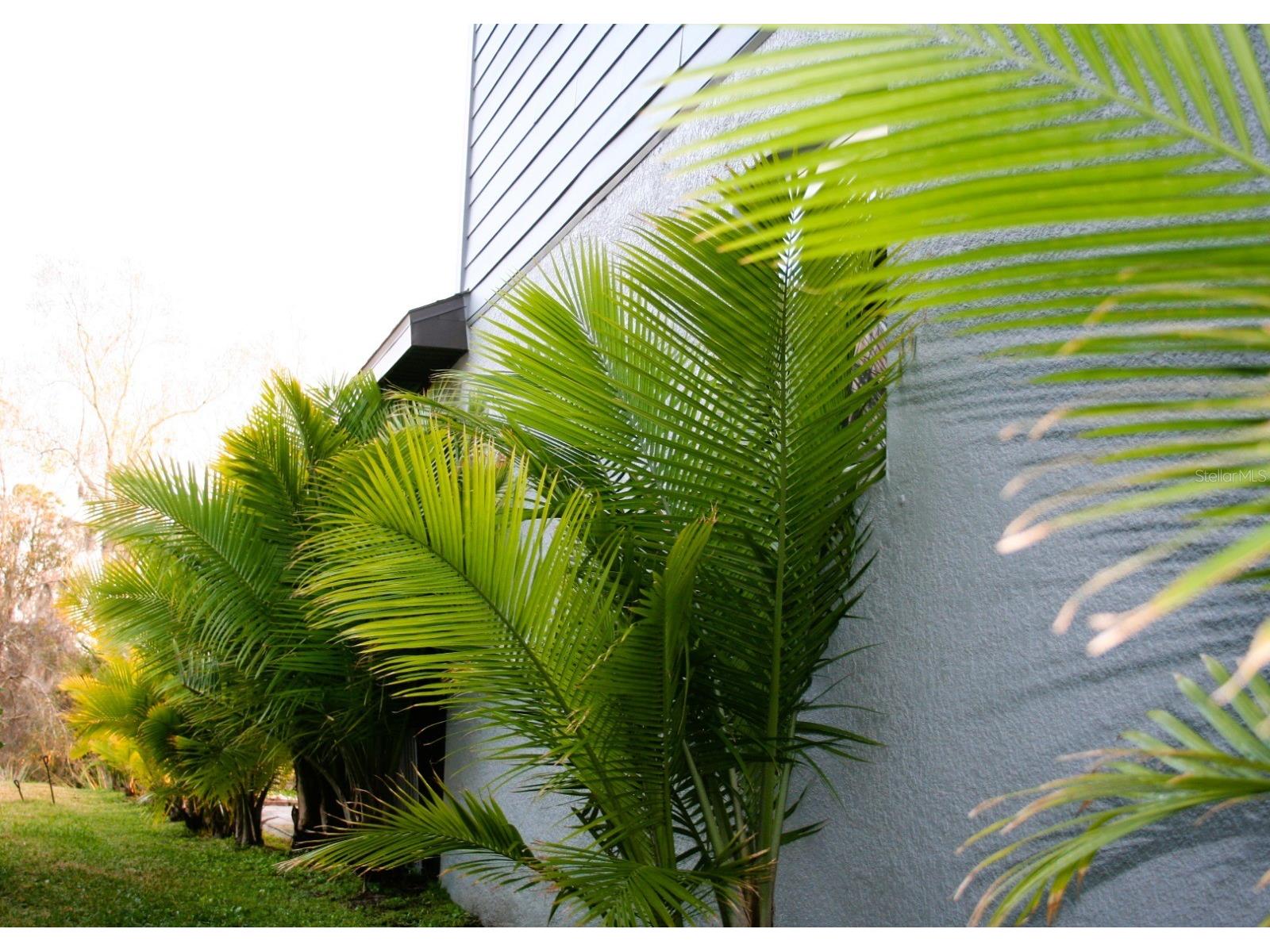 8323 Reefbay Cove Parrish FL 34219 A4683443 image15