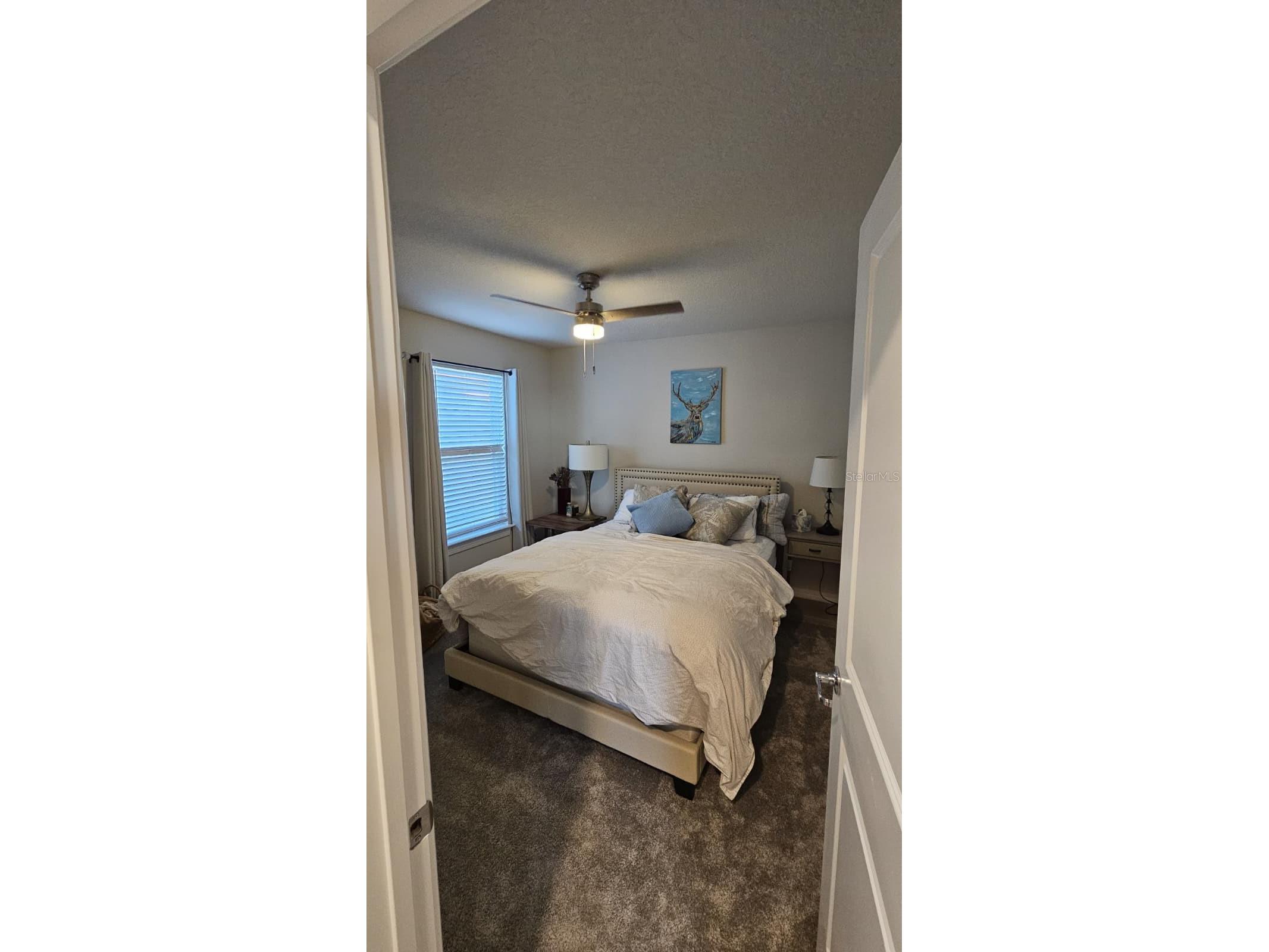8323 Reefbay Cove Parrish FL 34219 A4683443 image42