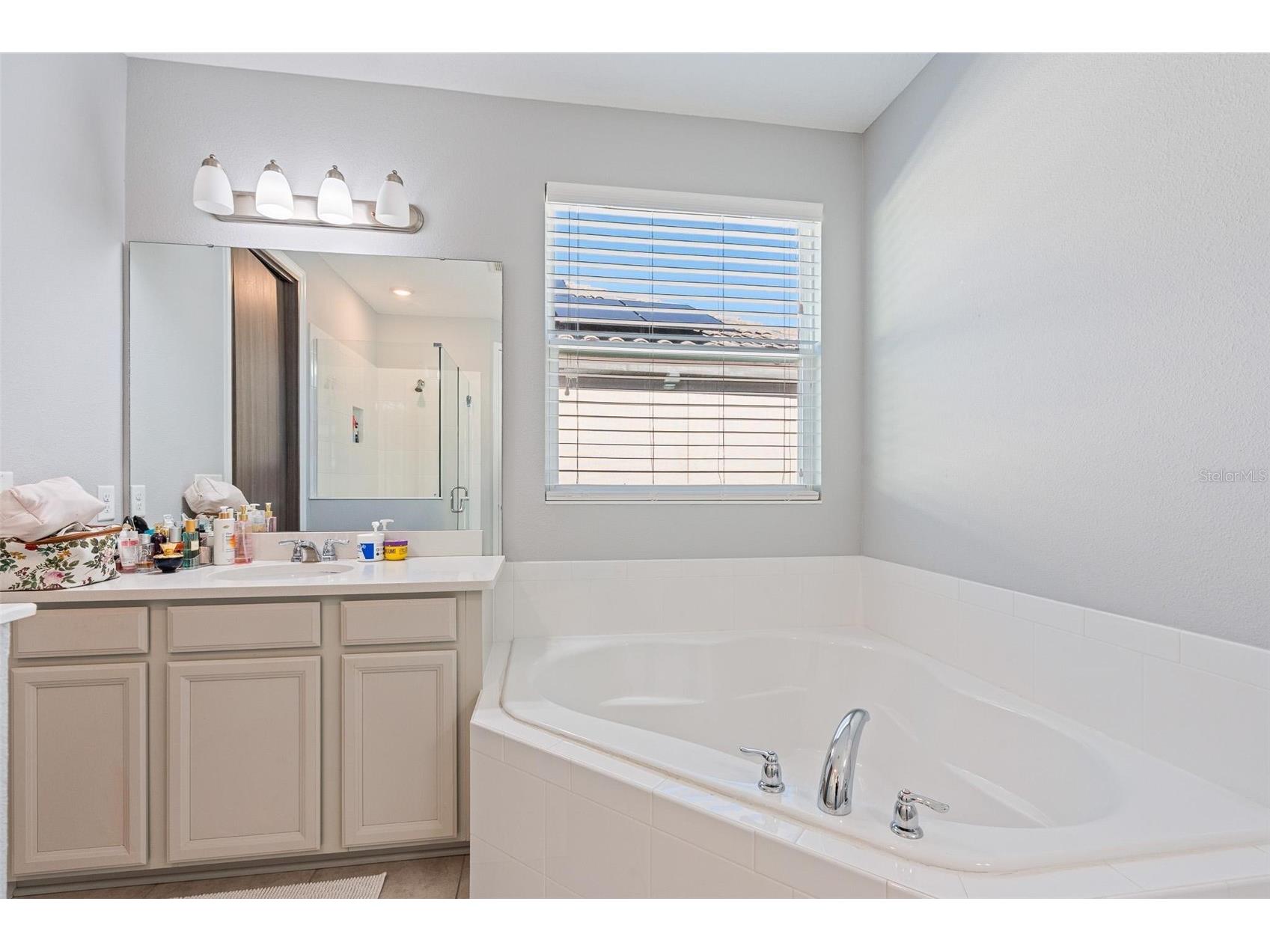 8324 Ludington Circle Orlando FL 32836 O6377060 image36