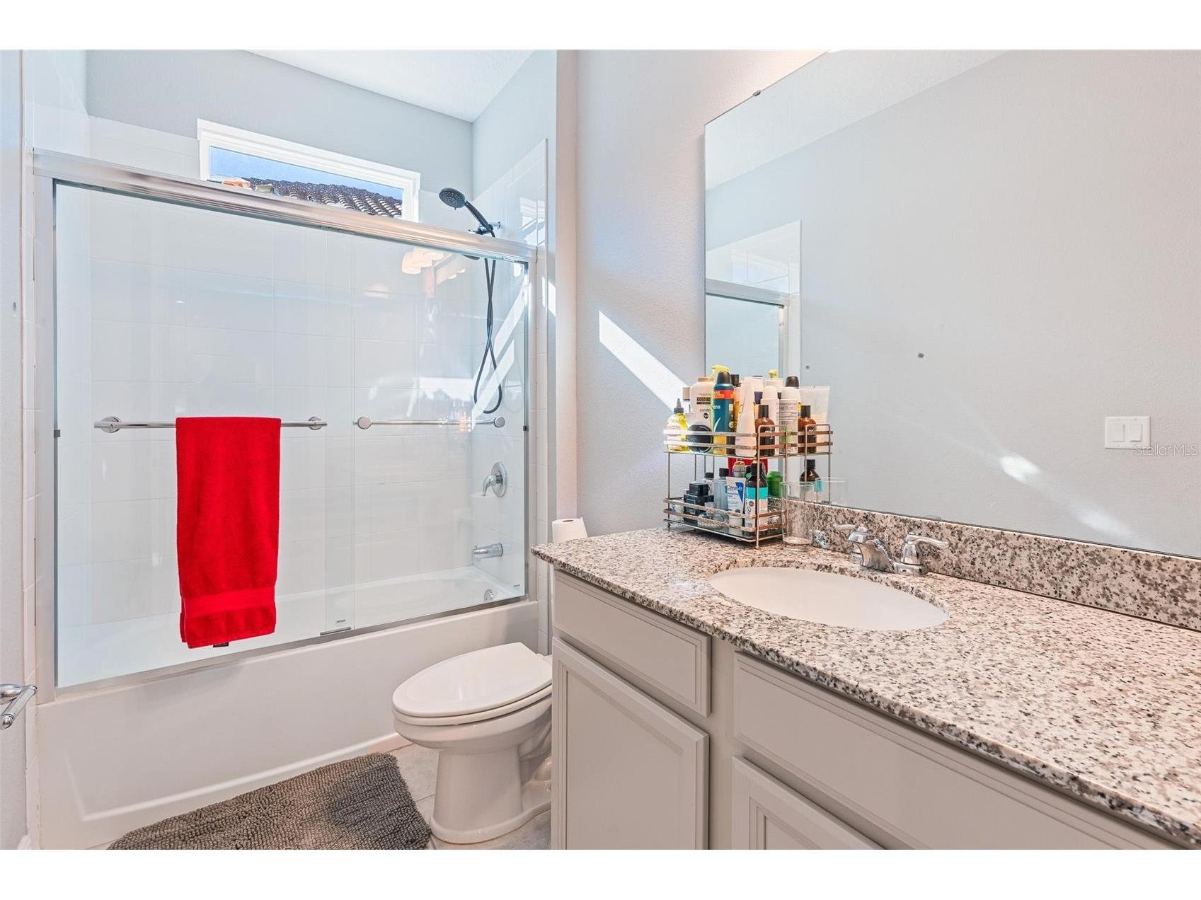 8324 Ludington Circle Orlando FL 32836 O6377060 image39