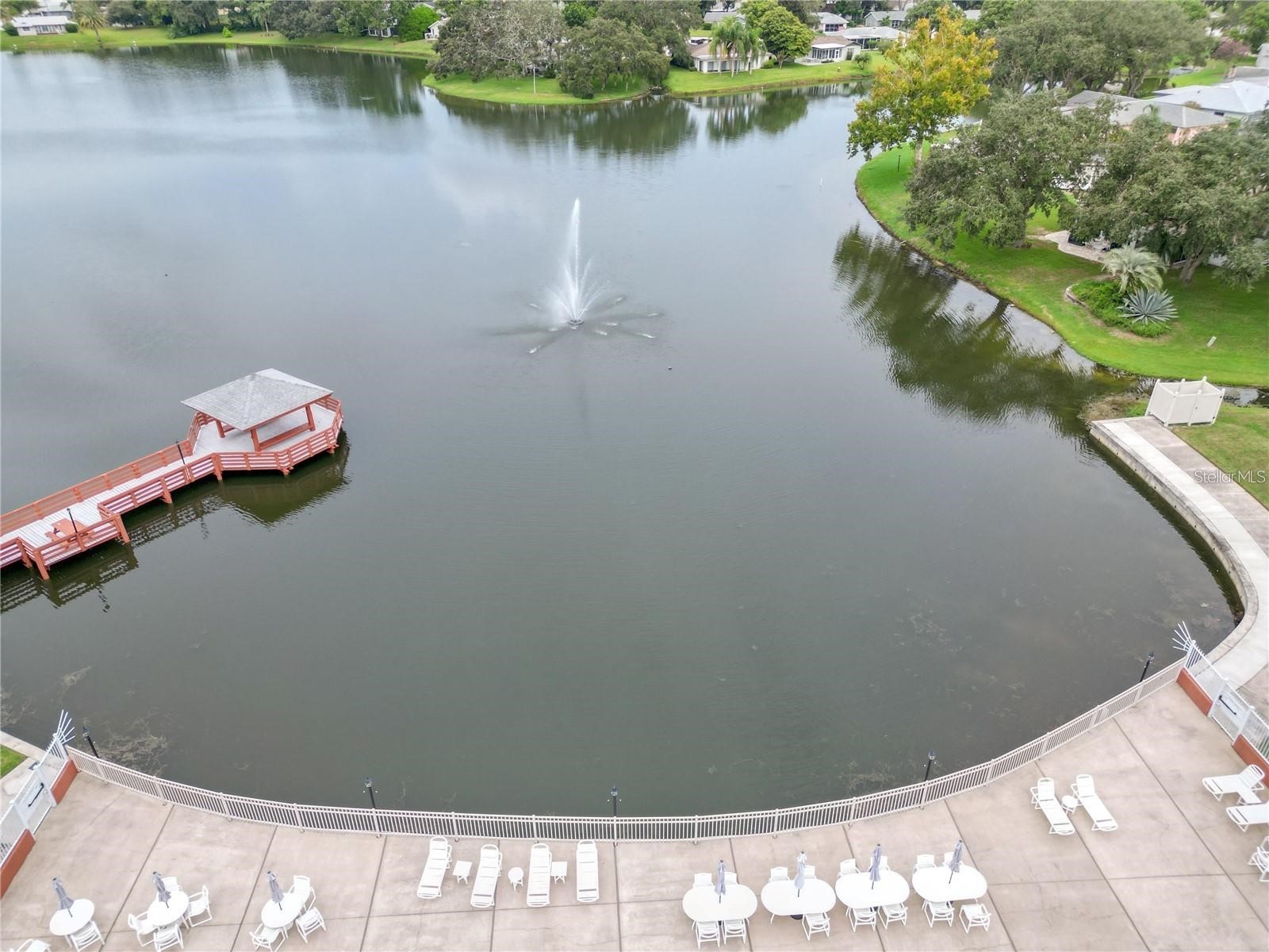 8324 Winding Wood Drive Port Richey FL 34668 TB8492952 image40