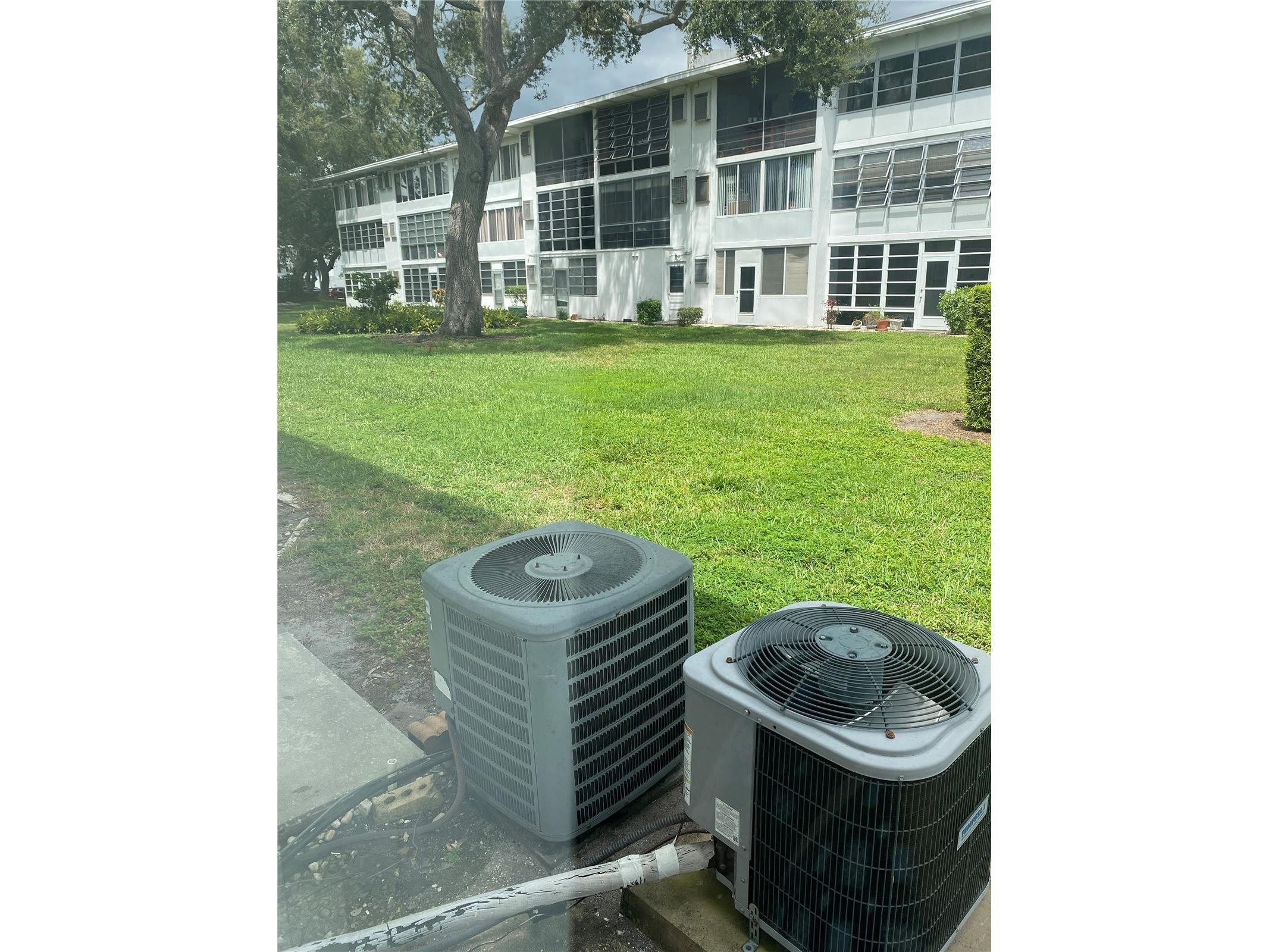 8325 112th Street #106 Seminole FL 33772 TB8418963 image17