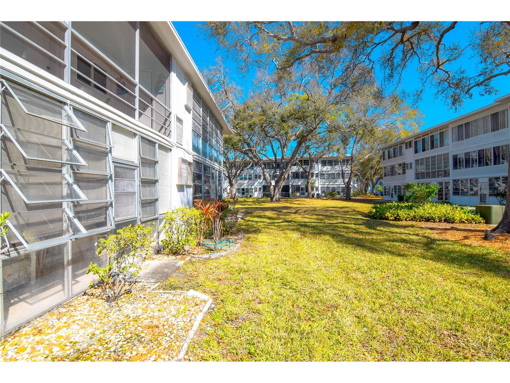 8325 112th Street #109 Seminole FL 33772 TB8482027 image16