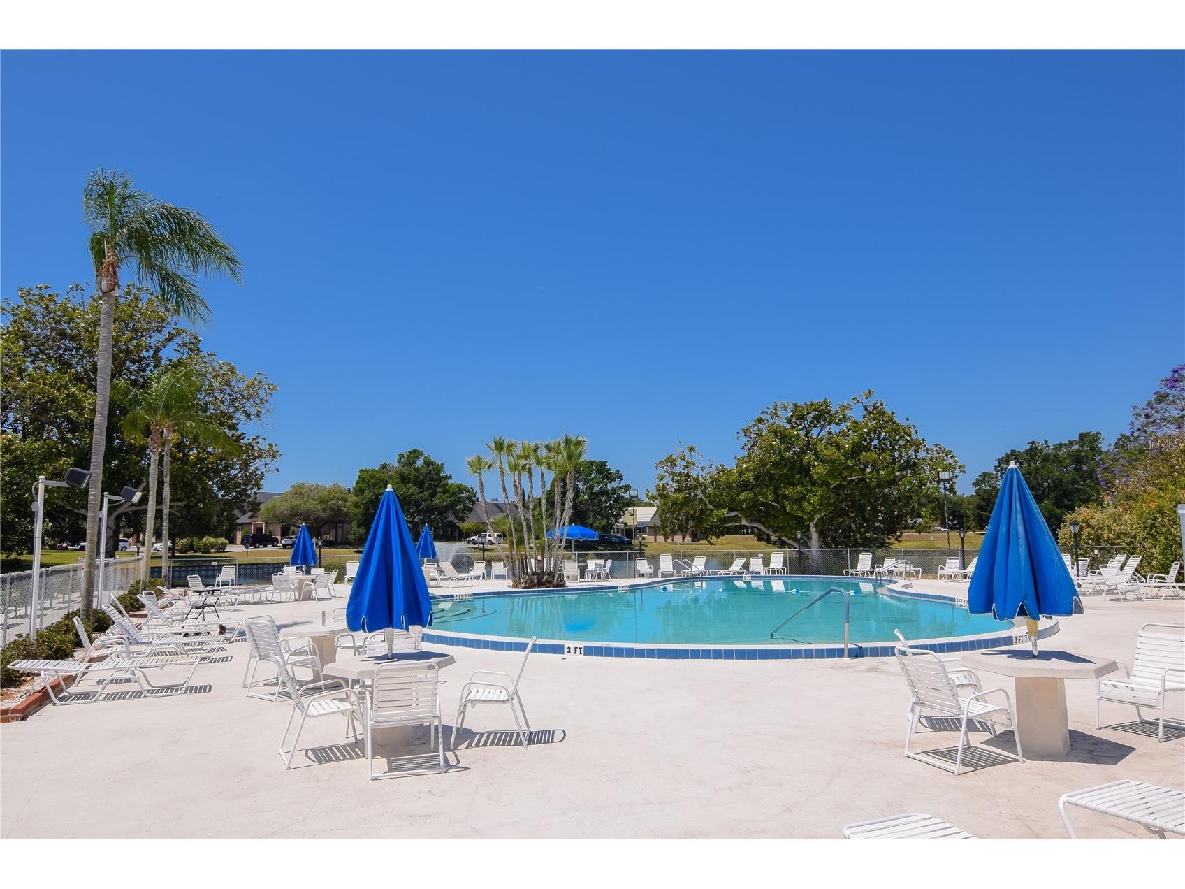 8325 112th Street #109 Seminole FL 33772 TB8482027 image19