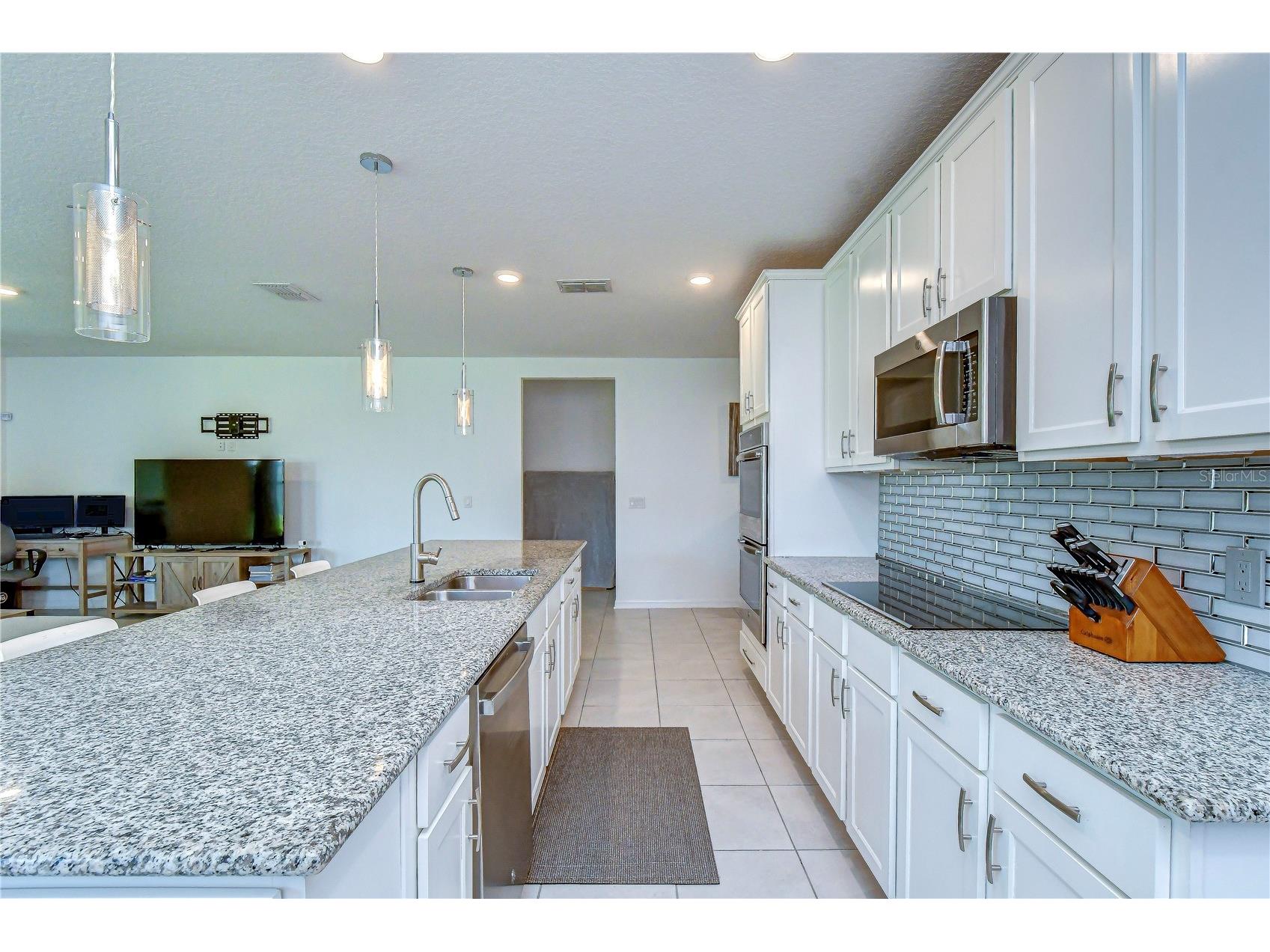 8325 Olive Brook Drive Wesley Chapel FL 33545 TB8524332 image13