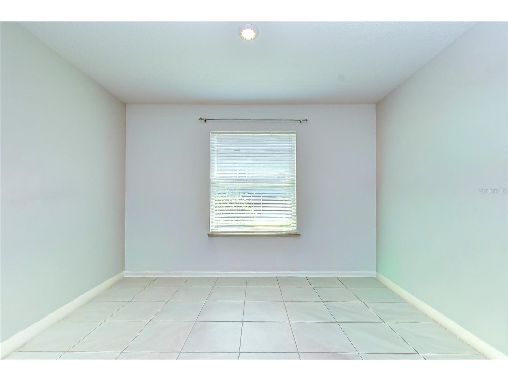 8325 Olive Brook Drive Wesley Chapel FL 33545 TB8524332 image22