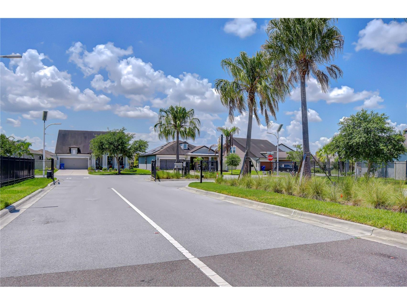 8325 Olive Brook Drive Wesley Chapel FL 33545 TB8524332 image33