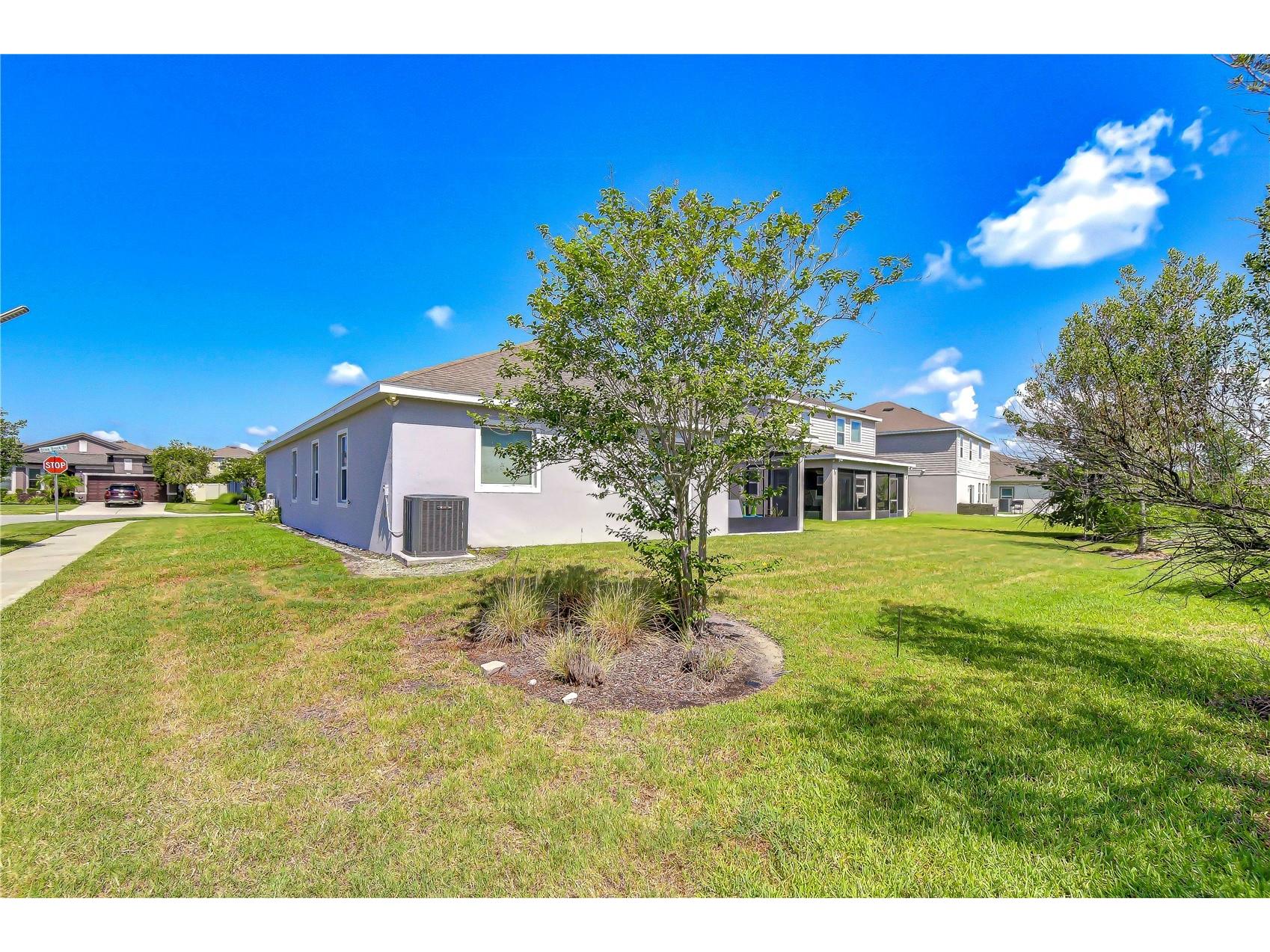 8325 Olive Brook Drive Wesley Chapel FL 33545 TB8524332 image6
