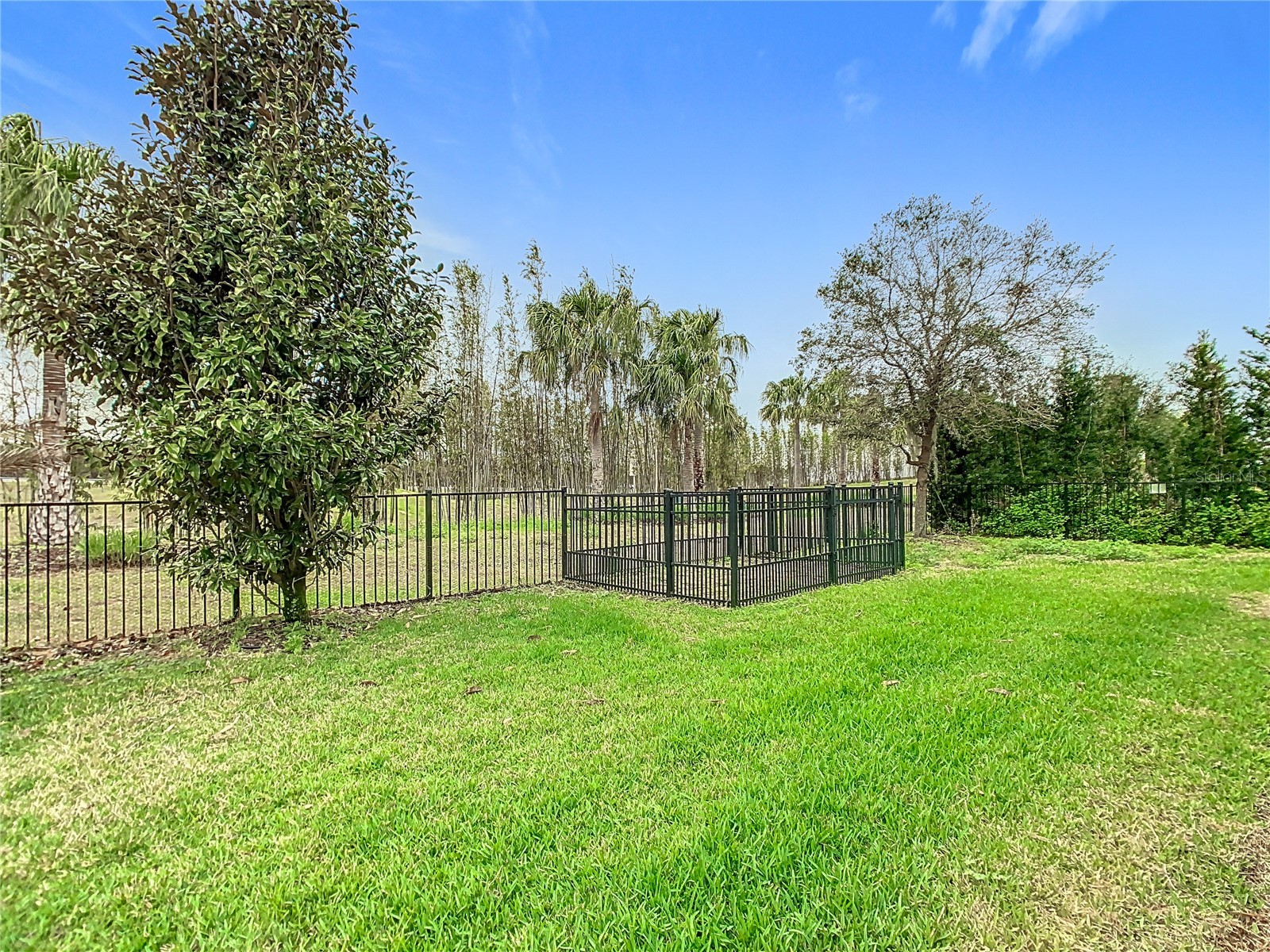 8325 Topsail Place Winter Garden FL 34787 O6404553 image48