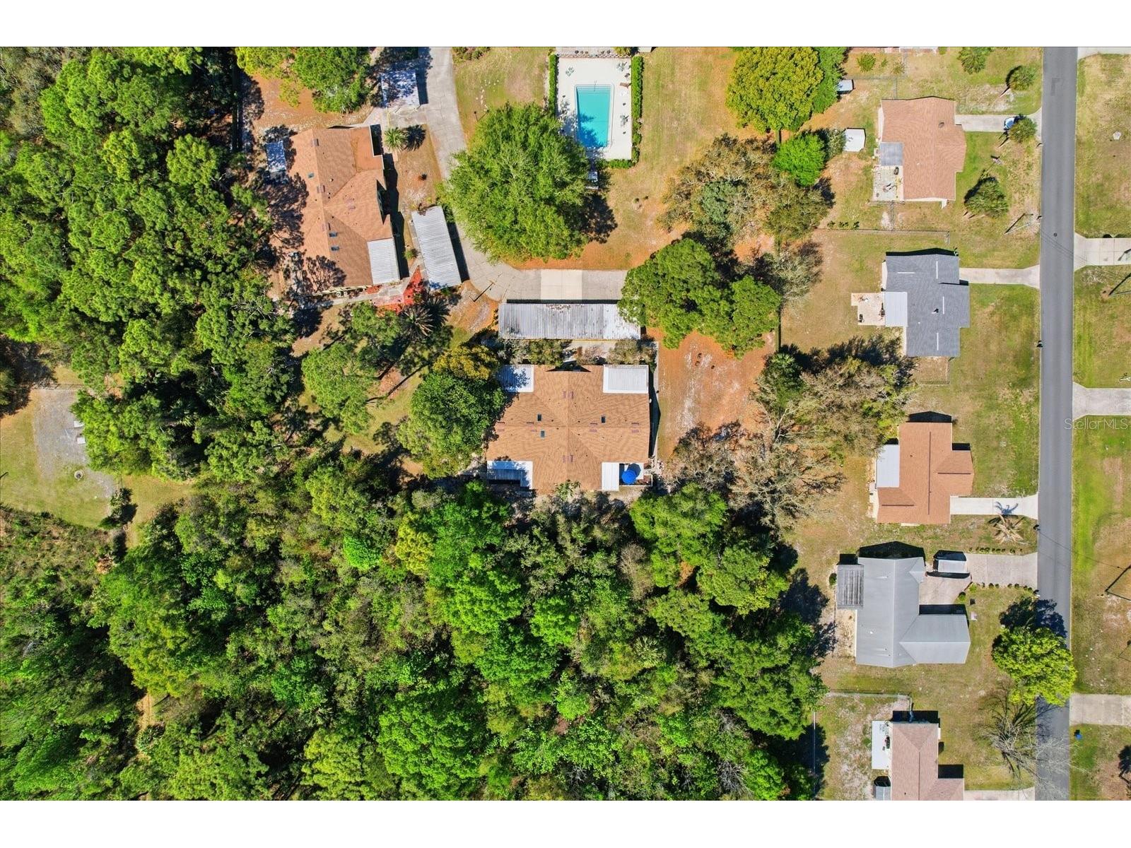 8326 W Earl Loop Homosassa FL 34446 OM721510 image32