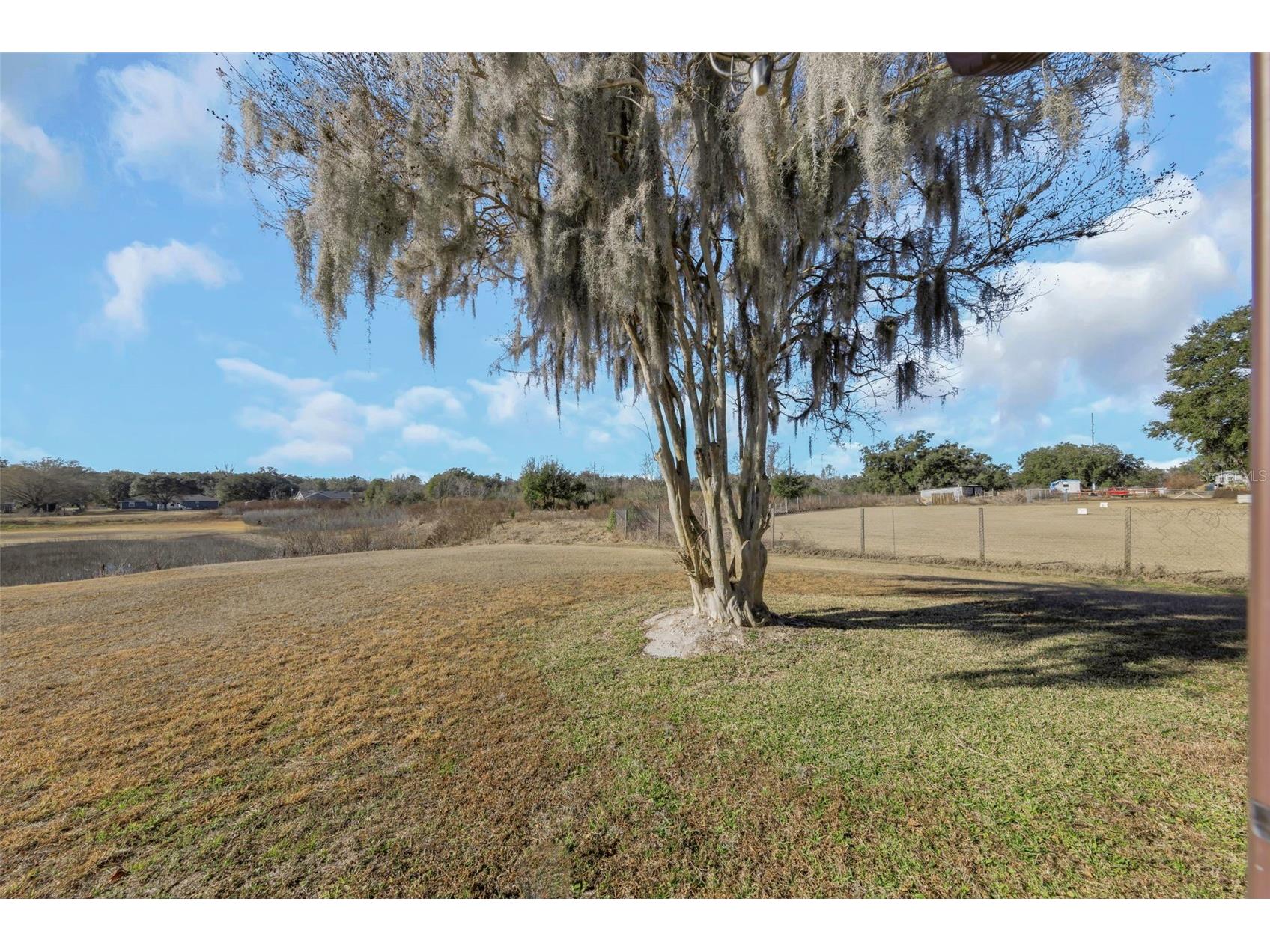 8327 Jacqueline Court Zephyrhills FL 33541 TB8473916 image20