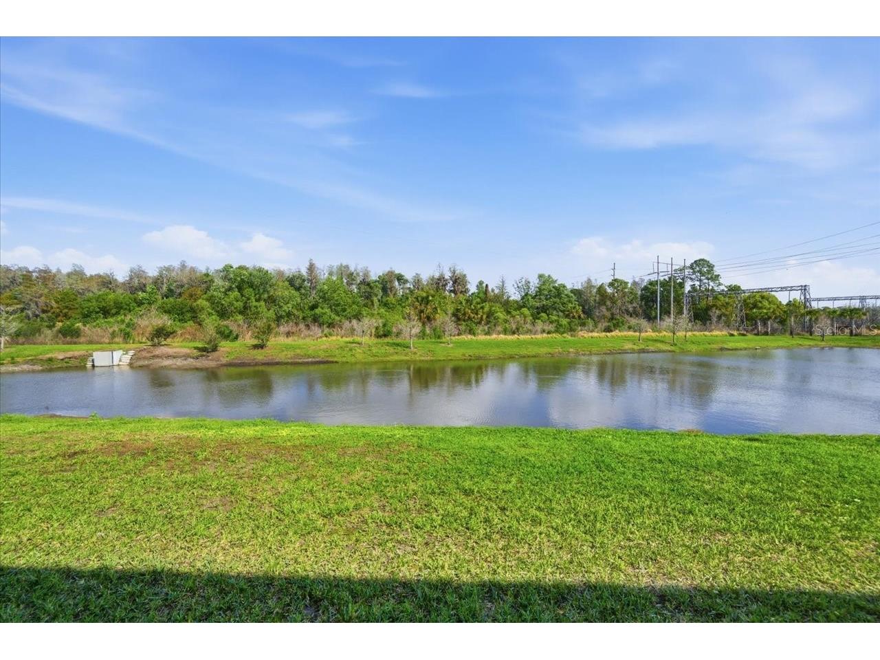 8327 Wildflower Glen Avenue Odessa FL 33556 - POND TB8487560 image29