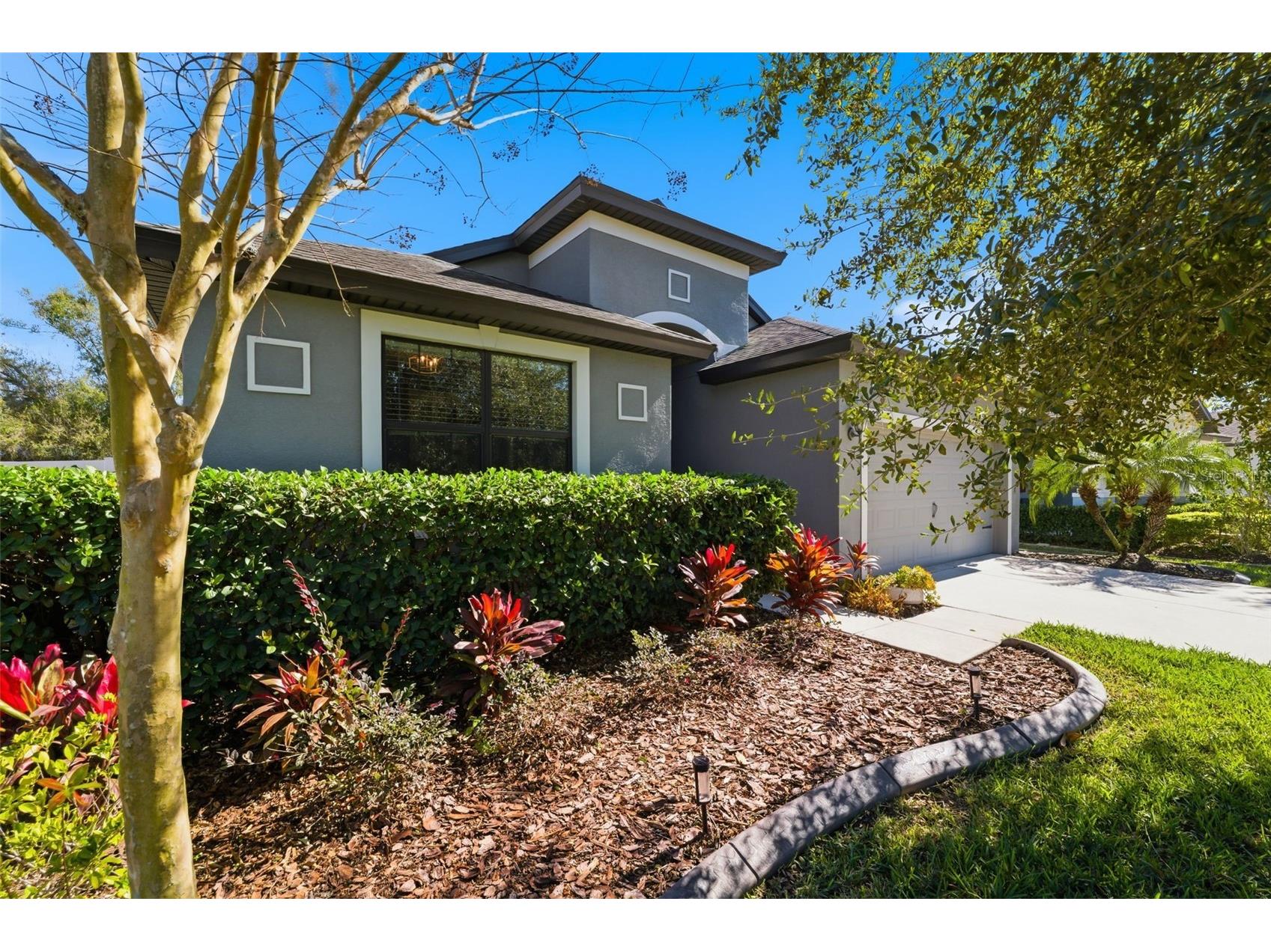 8328 Auburn Rise Court Land O Lakes FL 34638 TB8470249 image1