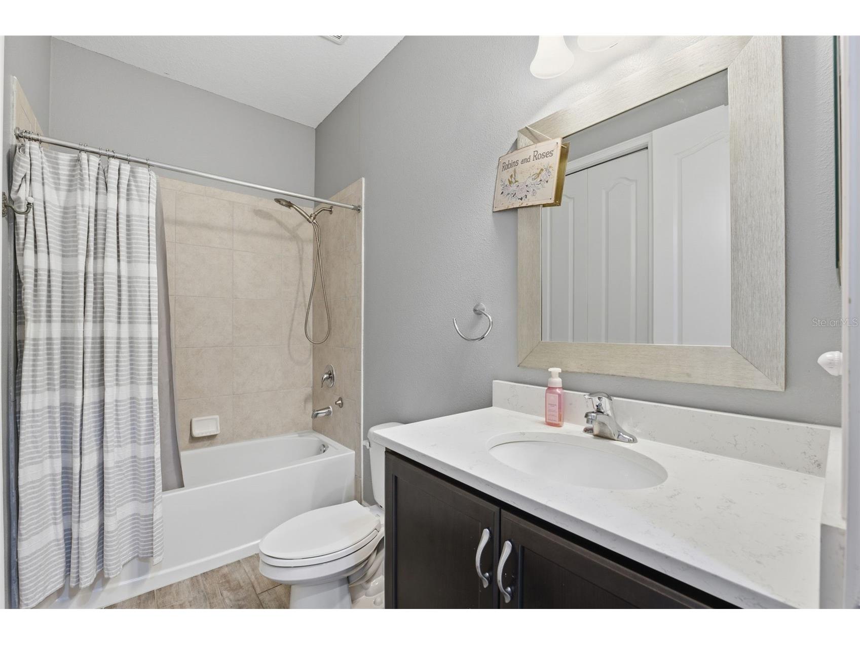 8328 Auburn Rise Court Land O Lakes FL 34638 TB8470249 image29