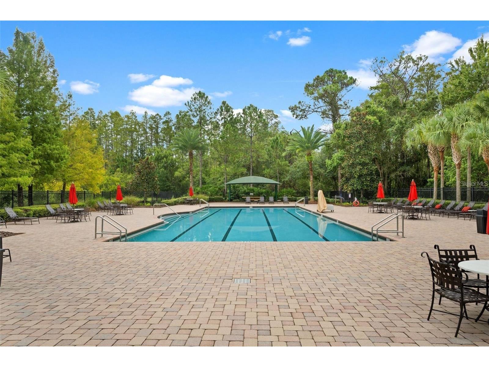 8328 Auburn Rise Court Land O Lakes FL 34638 TB8470249 image41